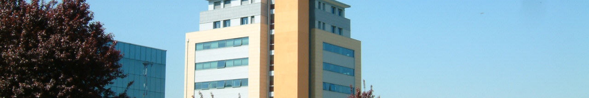 AZIENDA